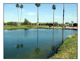 Apache Wells Golf Club